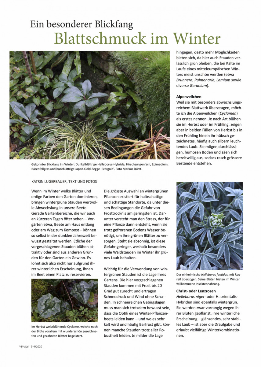 Low Price Herbarium 30 Pflanzen Aus J Frei wählbar 140 Pflanzen 2019 