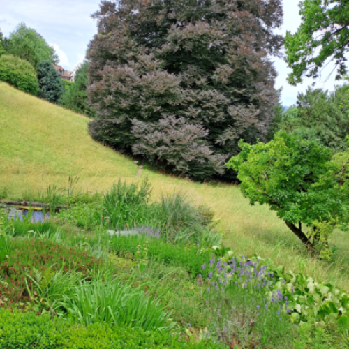 Schlosspark Andelfingen