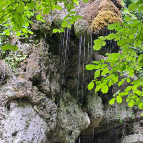 Schlosspark Andelfingen