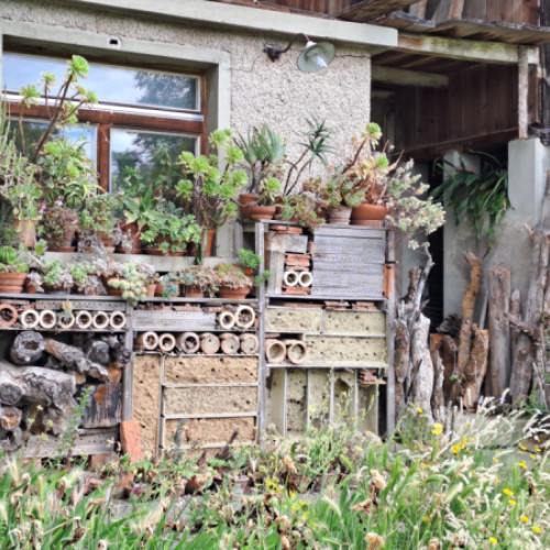 Gartenwildnis Agasul mit Dani Pelagatti