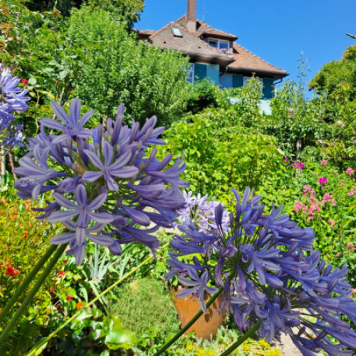 Mia- und Hermann-Hesse-Garten