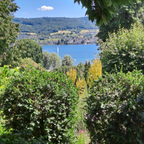 Mia- und Hermann-Hesse-Garten